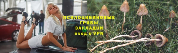 PSILOCYBIN Заволжье